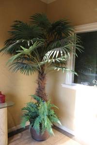 lot 67 image: Artificial palm tree plant