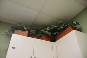 lot 57 image: Three artificial plants