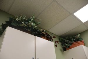 lot 62 image: Three artificial plants