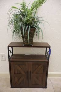 lot 118 image: Wall cabinet with artificial plant