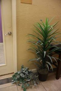lot 136 image: Artificial plants