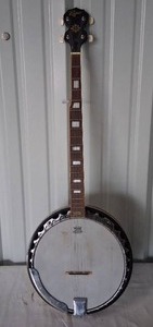 Rogue 5 String Banjo with a Remo Weatherking Head--Sounds Great