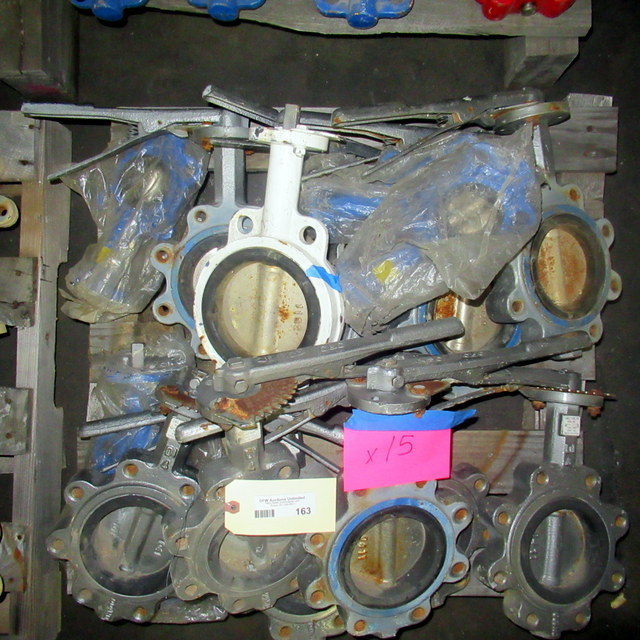 lot 163 image: Butterfly Valves
