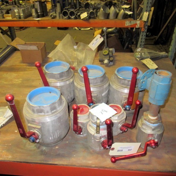 lot 557 image: Assorted DMIC BVAL In Line Ball Valves