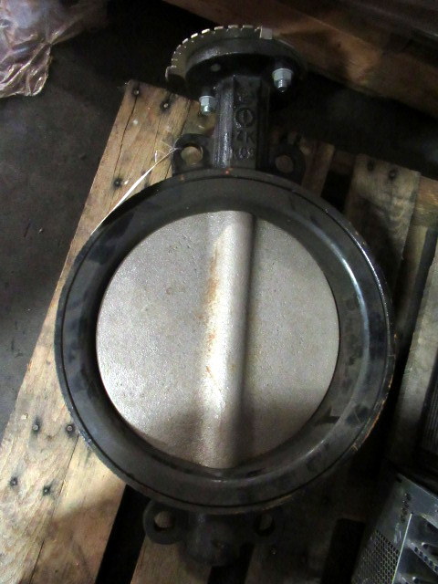 lot 869 image: 12 Butterfly Valve