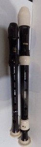 lot 223 image: Recorders x 2