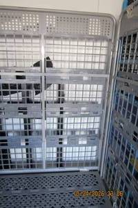 lot 200 image: PLATFORM CAGE CART