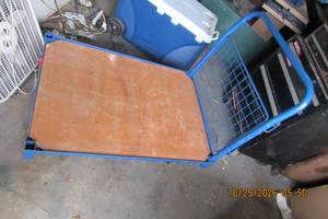 lot 9 image: WAREHOUSE PLATFORM TRUCK