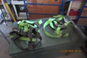 lot 35 image: HARNESSES