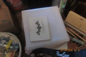 lot 246 image: BATMAN ARKHAM CITY