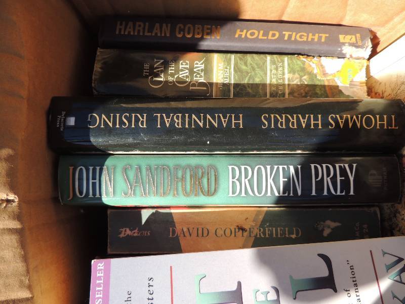 lot 118 image: Box of books x 12 Clan of the cave bears, Hannibal rising, grapes of wrath, etc.