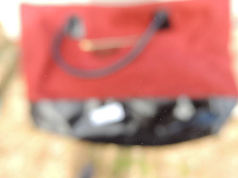 lot 219 image: Purses all from DSW - Qty 4
