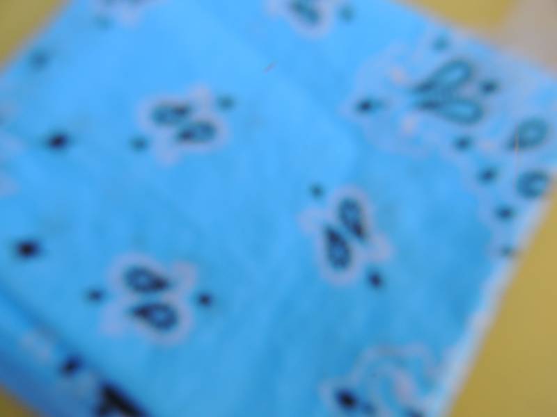 lot 227 image: BANDANAS QTY 7