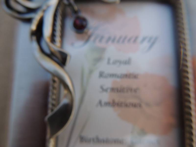 lot 235 image: 2X3 PHOTO FRAMES MONTHS JAN -JUNE  ( 6 TOTAL)
