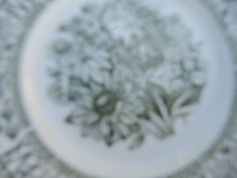 lot 239 image: BROADHURSE IRON STONE - ENGLISH GARDEN - 2 PLATES, 4 SAUCERS,6 BOWLS, TEAPLATE