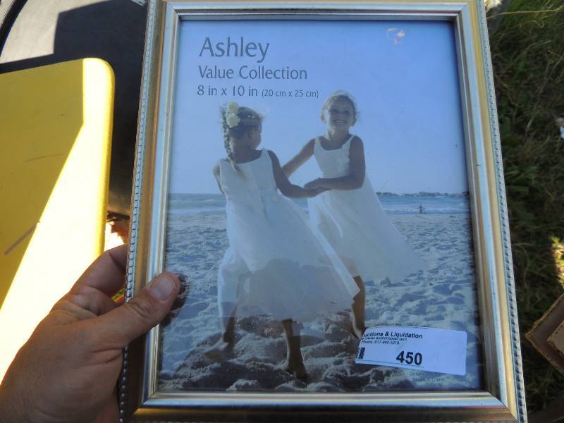 lot 450 image: 3  -  8x10 frames