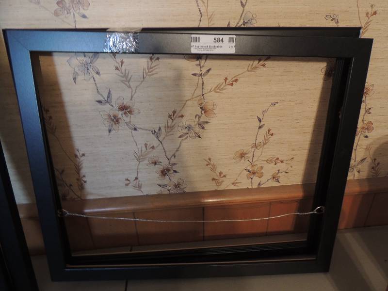 lot 584 image: 2 16 x 20 frames