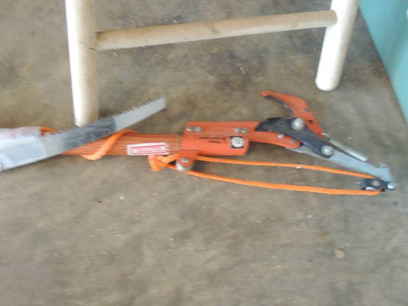 lot 1010 image: Tree pruner