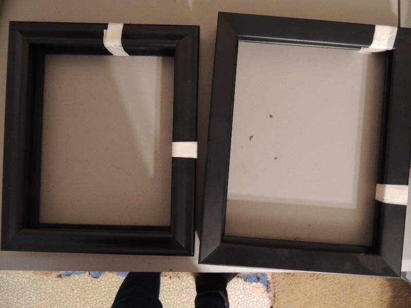 lot 885 image: 4 8x10 frames