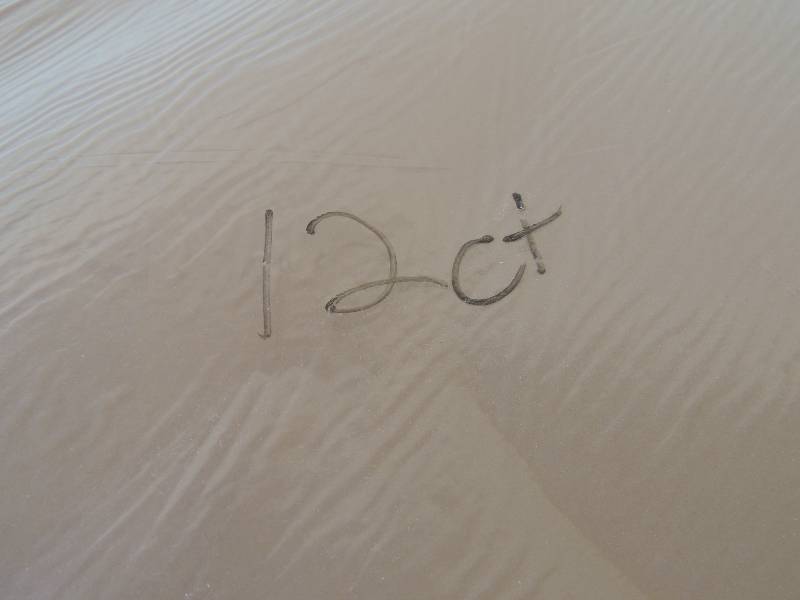 lot 524 image: 12 ct. matting