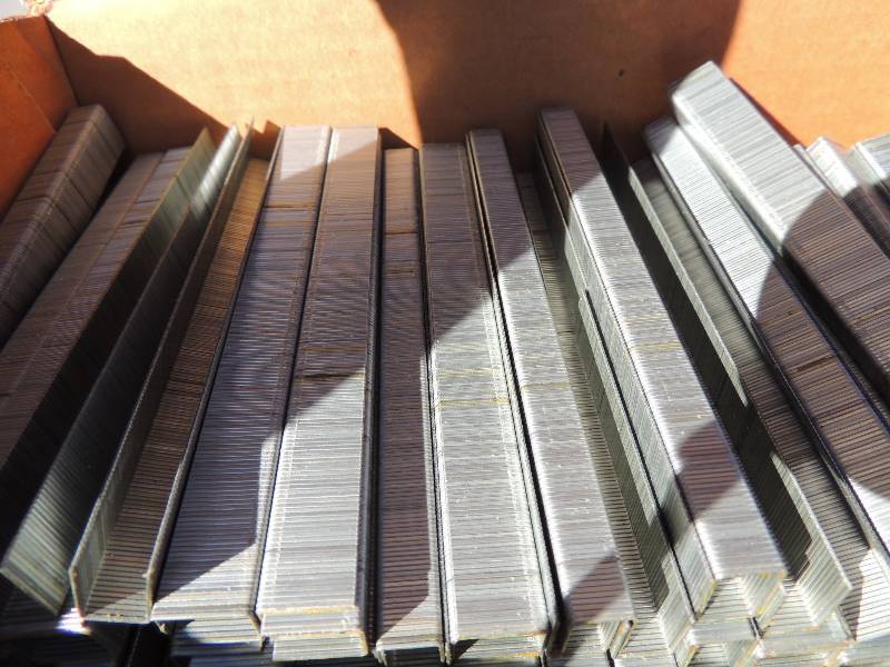 lot 557 image: 3 boxes of staples