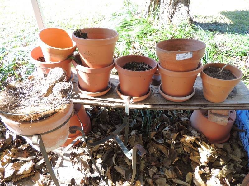 lot 371 image: Misc. clay and plastic pots
