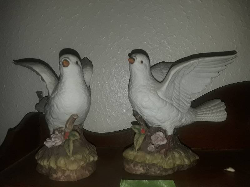 lot 308 image: Mexican white doves