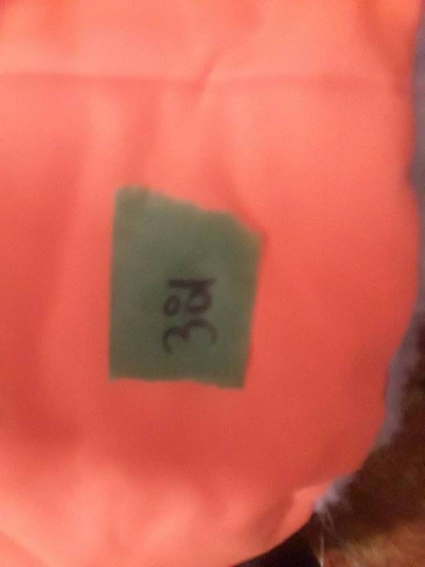 lot 381 image: Dog night vision vest