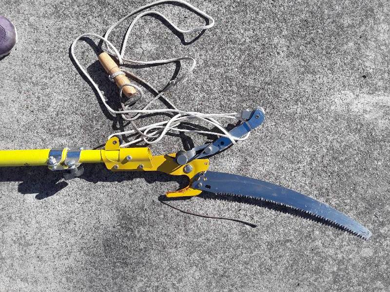 lot 781 image: Tree saw with extending handle