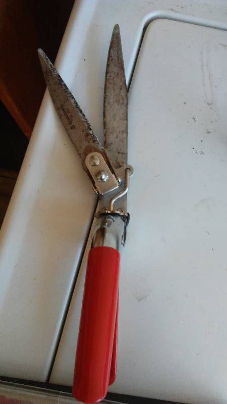 lot 625 image: 4 pairs of Grass clippers and a pair of sheers