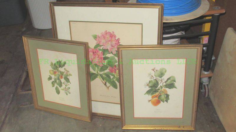lot 268 image: Anne Ophelia Dowden Artist signed Framed floral prints, 3 total