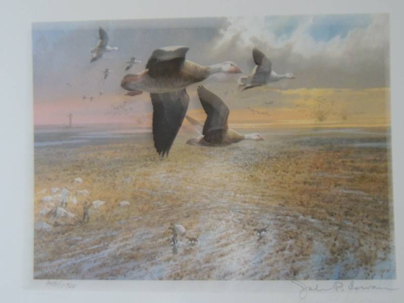 lot 87 image: John P. Cowan- 1985 Texas Duck Stamp & print 943111300 12x14 Texas V