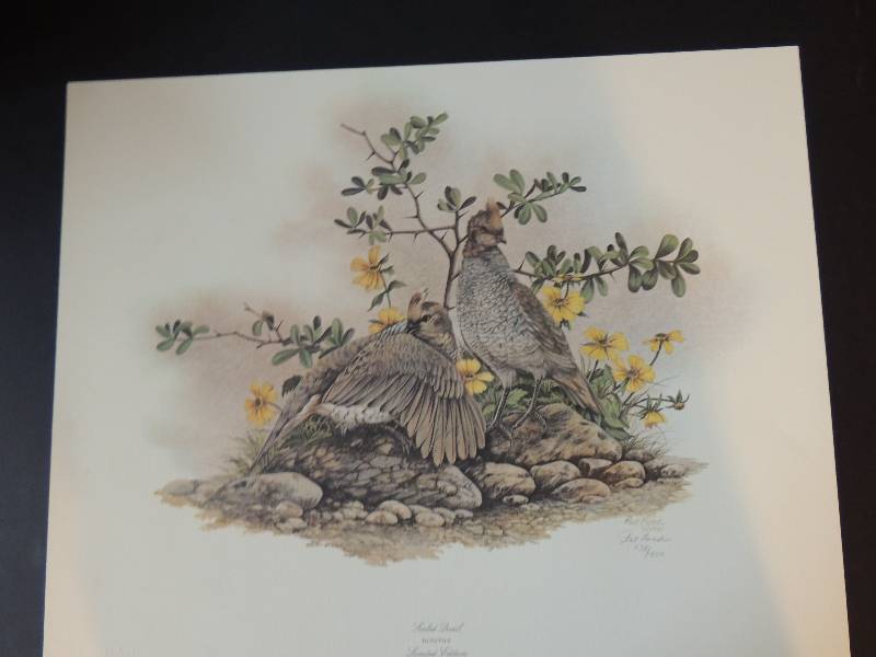 lot 94 image: Pat Ford- Scaled Quail 538950   SN 1981    18 x22