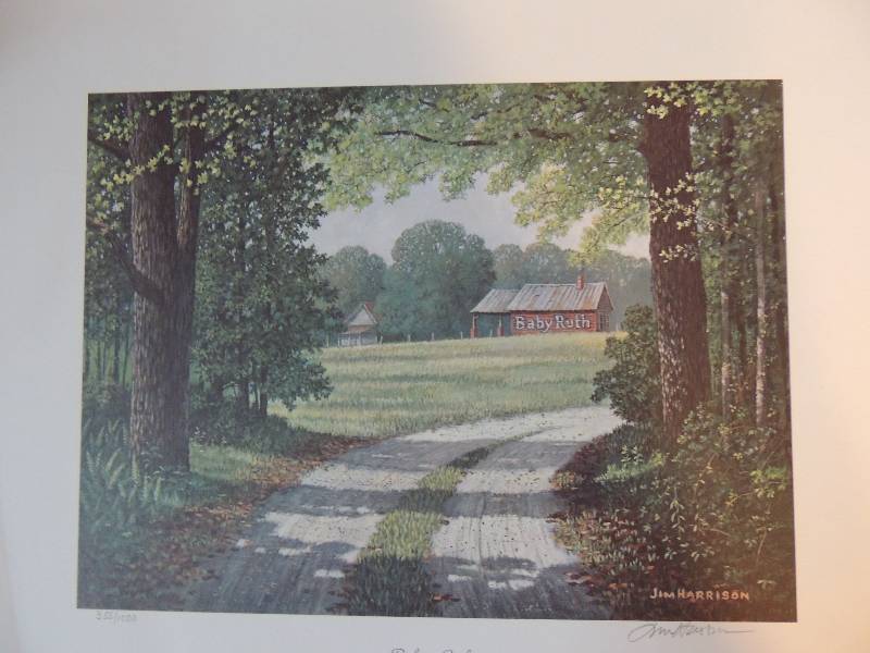 lot 98 image: JIM  Harrison- Baby Ruth  3531000 SN  12 12 x 15 12