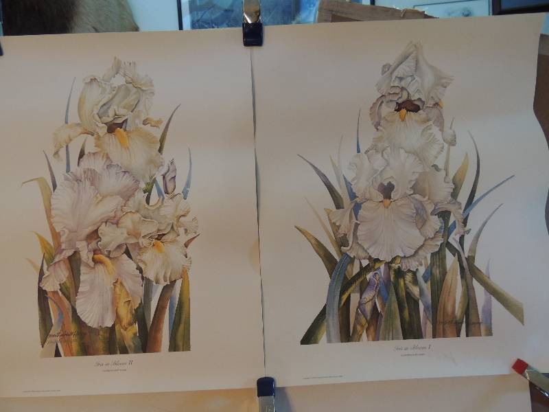 lot 159 image: Martha Smith Haynes- Iris in Bloom I  20x16.    Iris in Bloom II signed  20x16