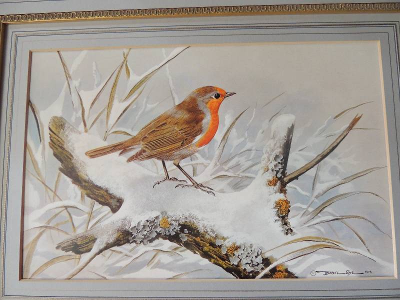 lot 179 image: Basel ZDE 1978 Robin   11x15 12 print,   15 12 x 20 matted
