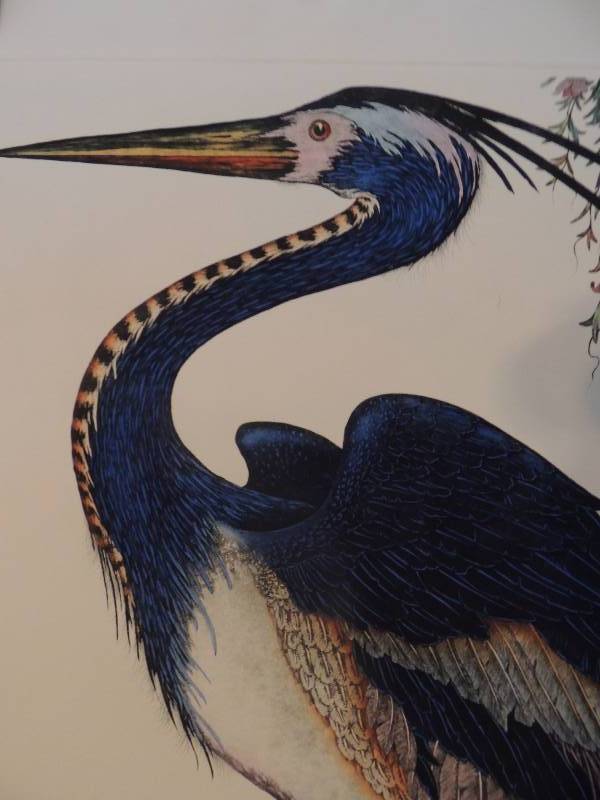 lot 180 image: Dan Mirra- Louisanna Heron 442000 SN 3628.      Blue heron 282000   36x28  - COLORED ETCHINGS