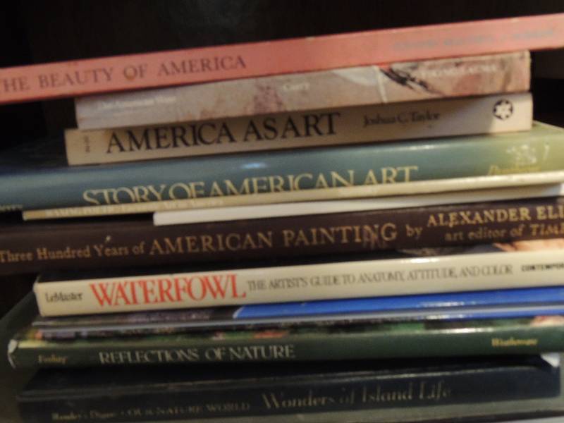 lot 284 image: 14 full page color books displaying art in nature and landscapes