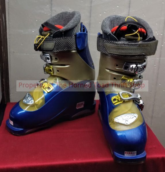 lot 181 image: Ski Shoes