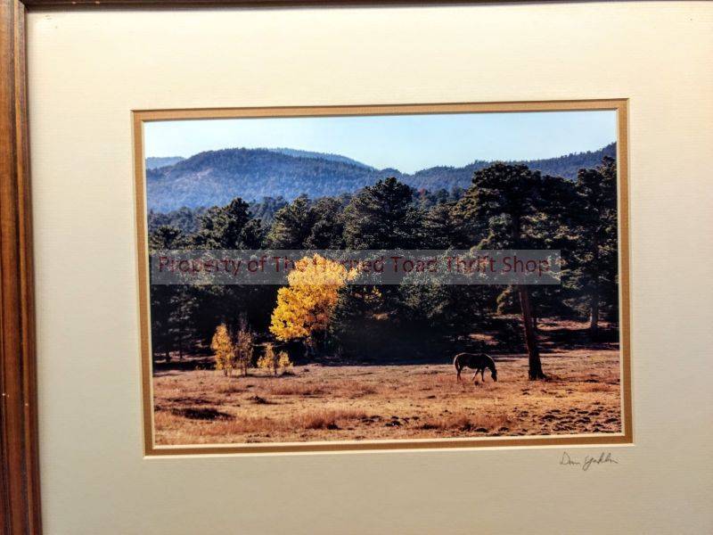 lot 183 image: Original photograph