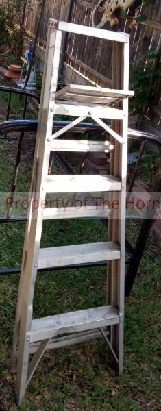 lot 338 image: Ladder