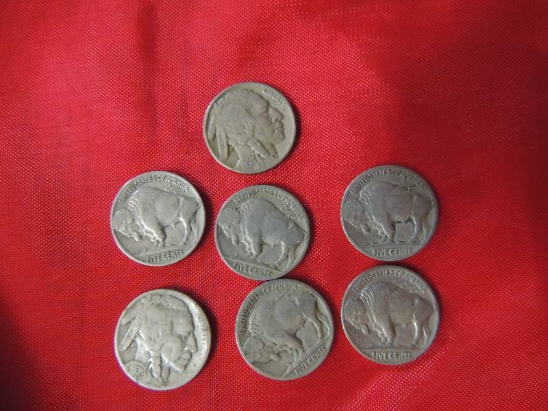 lot 141 image: Buffalo Nickels 1936 qty. 7
