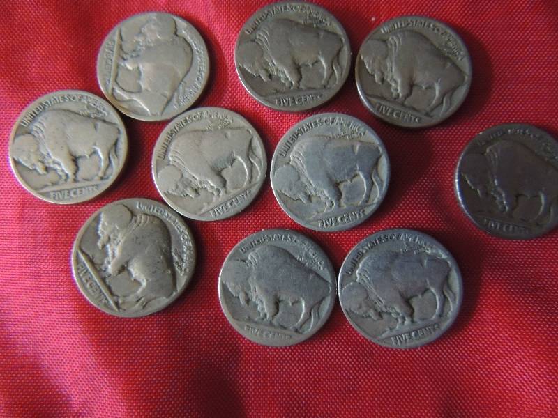 lot 175 image: Buffalo Nickels no date x 10