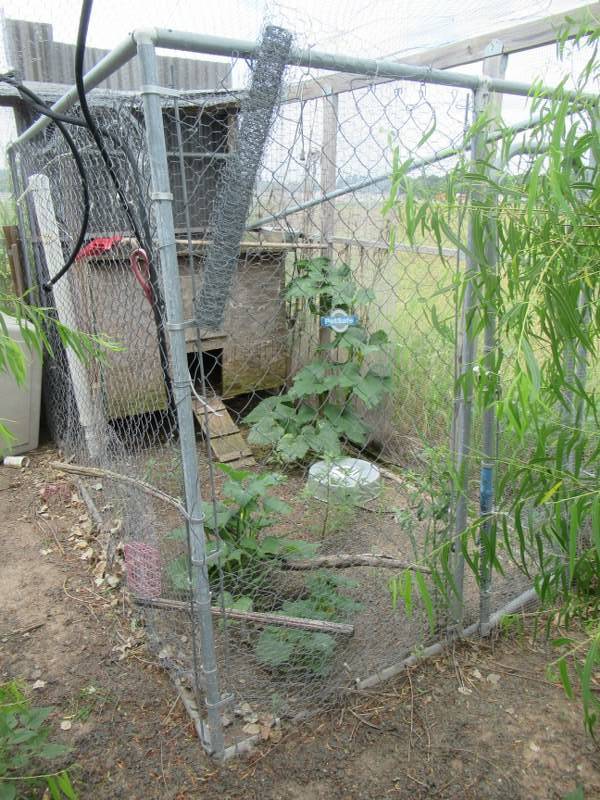lot 8 image: PETSAFE DOG PEN