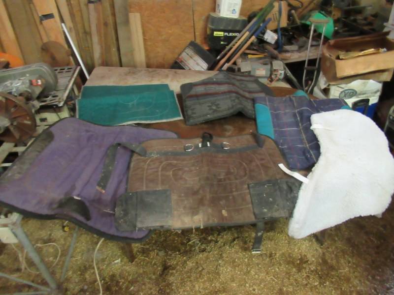 lot 49 image: HORSE BLANKETS