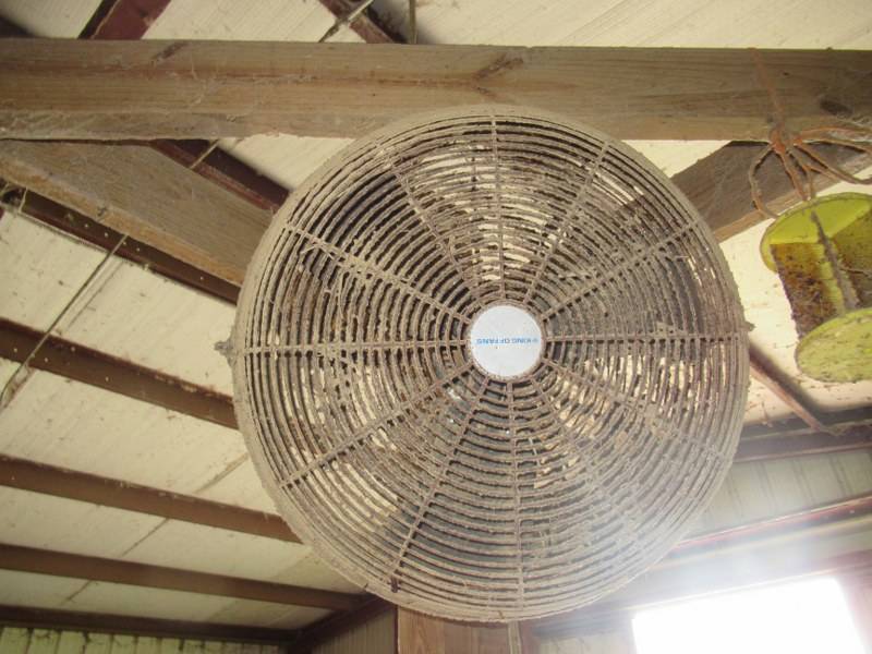 lot 72 image: FANS