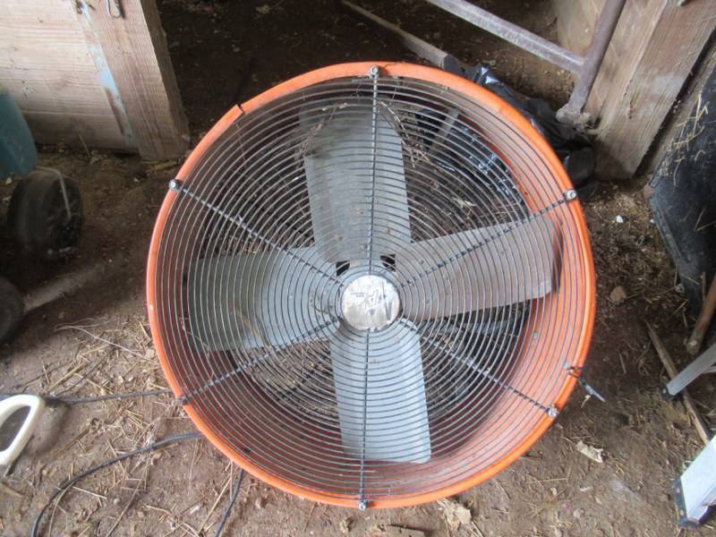 lot 99 image: SHOP FAN