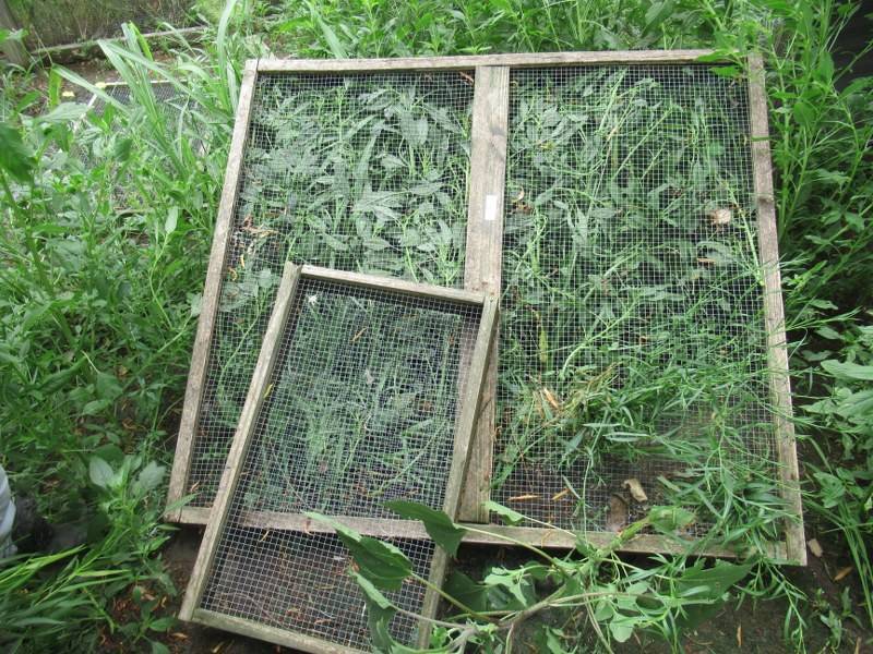lot 121 image: CHICKEN COOP