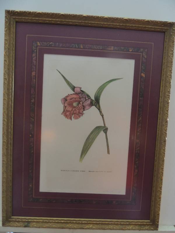 lot 18 image: Landermill, R.     Lithograph SN 101350 Sobralia A Grande Fiore F 25 12x 19 12