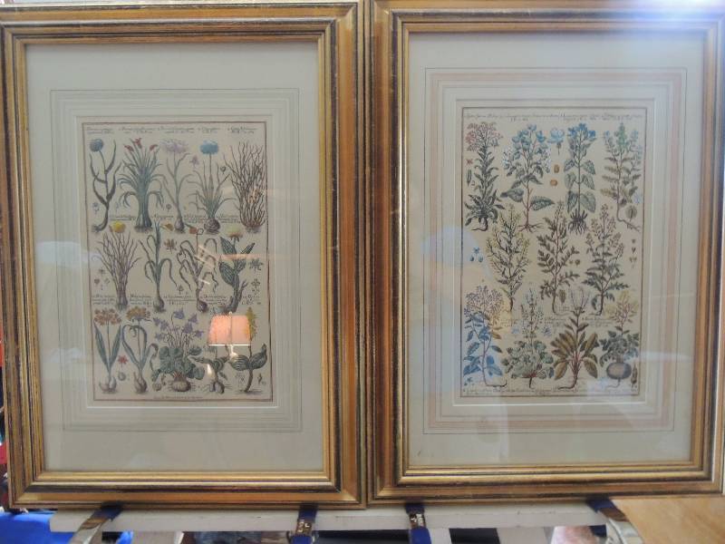 lot 30 image: 2 pieces     Moandi, J.V. Lithograph Flower Plates F 24x18